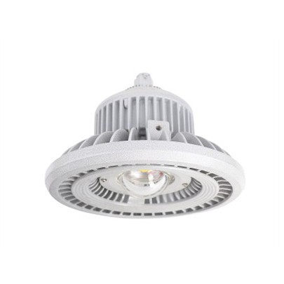 GTB110-防爆免维护LED照明灯(IIC)2