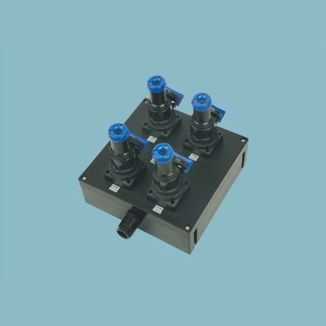 BXX8050防爆防腐电源插座箱(IIC)