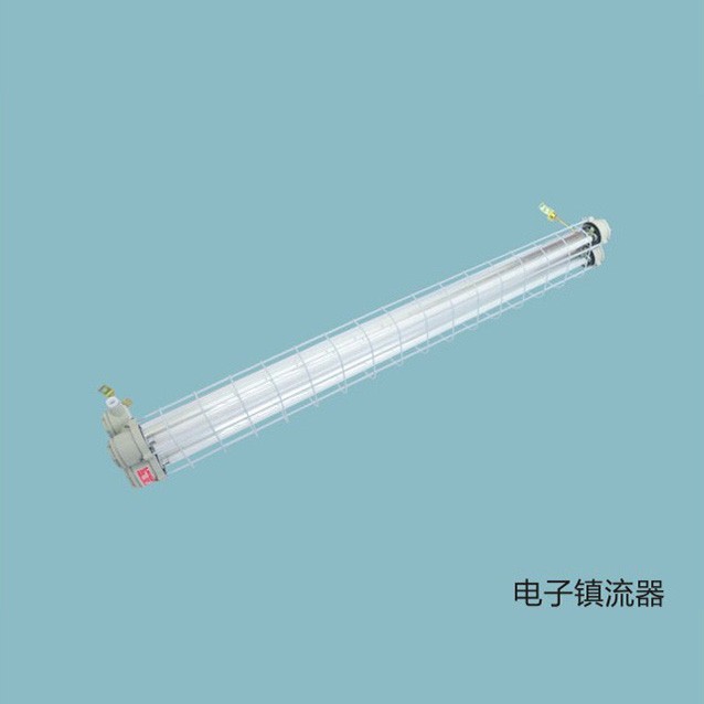 BAY52(T5)隔爆型防爆荧光灯(IIB)