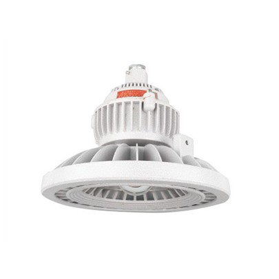 GTB110-防爆免维护LED照明灯(IIC)