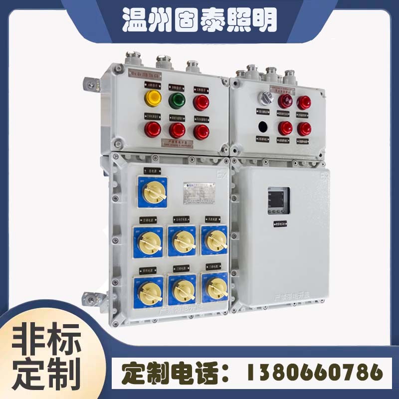 BXDM51防爆照明动力配电箱(IIB/DIP)